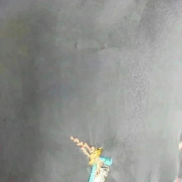 Sundance Boho Embroidered Peasant Top - Picture 6 of 6